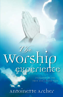 The Worship Experience (Paperback)