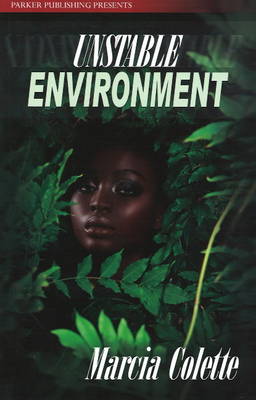 Unstable Environment (Paperback)