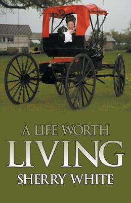 A Life Worth Living (Paperback)