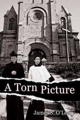A Torn Picture (Paperback)