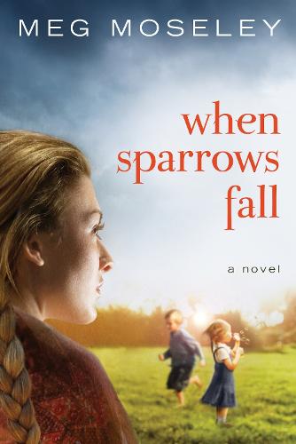 When Sparrows Fall: A Novel (Paperback)