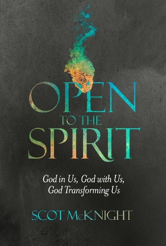 Open to the Spirit: God in Us, God with Us, God Transforming Us (Paperback)