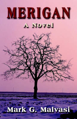 Merigan: A Novel (Paperback)