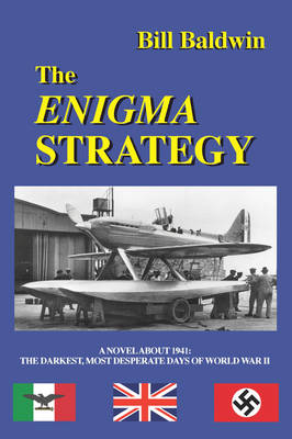 THE Enigma Strategy (Paperback)