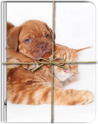 Green Booklets (Triple Pack) - Frenemies