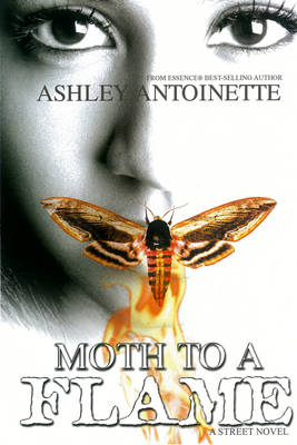 Moth To A Flame (Paperback)