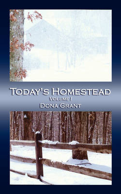 Today's Homestead: Volume I (Paperback)