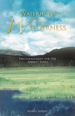 Waterholes in the Wilderness (Paperback)