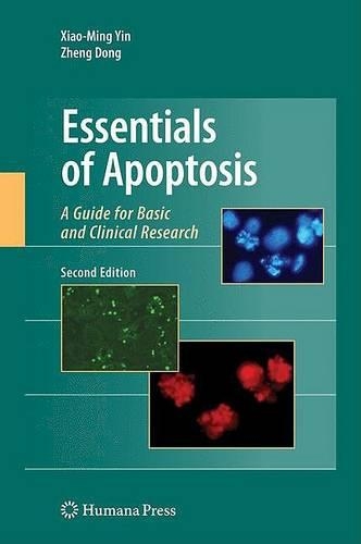 Essentials of Apoptosis: A Guide for Basic and Clinical Research (Hardback)