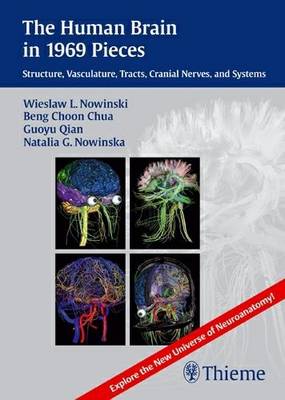 The Human Brain in 1969 Pieces (CD-ROM)