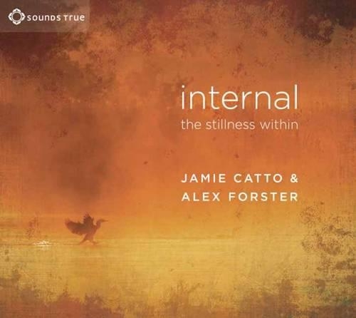 Internal: The Stillness within (CD-Audio)