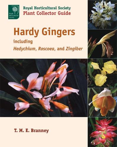 Hardy Gingers, Including Hedychium, Roscoea, and Zingiber (Paperback)