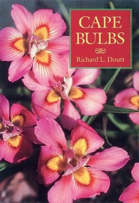 Cape Bulbs (Paperback)