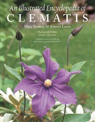 An Illustrated Encyclopedia of Clematis (Paperback)