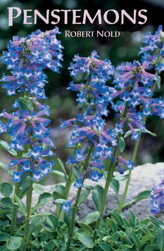 Penstemons (Paperback)