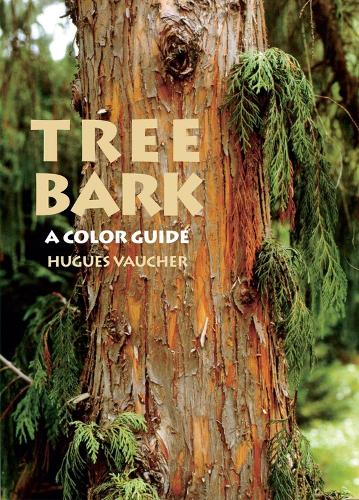 Tree Bark: A Color Guide (Paperback)