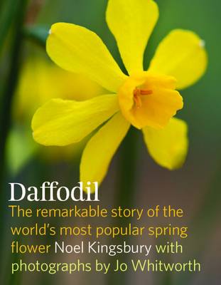 Daffodil (Hardback)