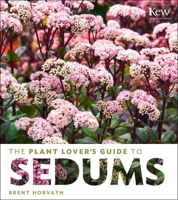 Plant Lover's Guide to Sedums (Hardback)