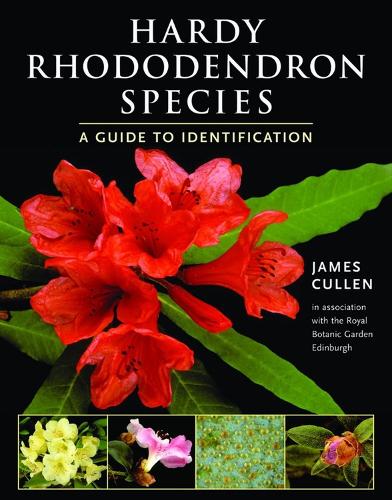 Hardy Rhododendron Species (Paperback)