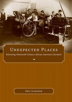 Unexpected Places: Relocating Nineteenth-Century African American Literature - Margaret Walker Alexander Series in African American Studies (Hardback)
