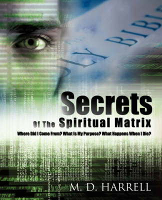 Secrets of the Spiritual Matrix (Paperback)