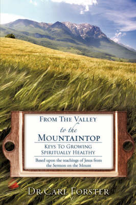 From the Valley to the Mountaintop (Paperback)