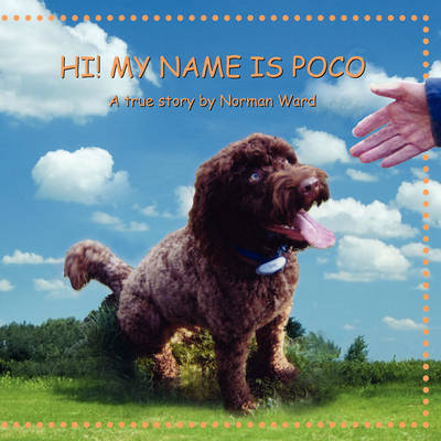 Hi! My Name Is Poco (Paperback)