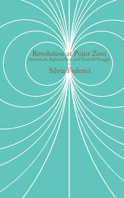 Revolution At Point Zero (Paperback)