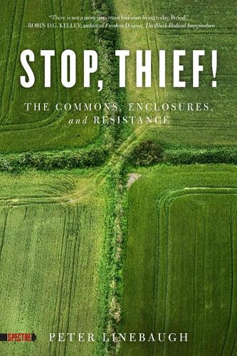 Stop, Thief!: The Commons, Enclosures, And Resistance (Paperback)