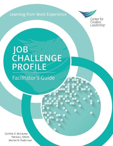 Job Challenge Profile: Facilitator's Guide (Paperback)