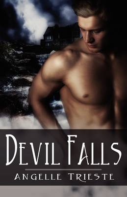 Devil Falls (Paperback)