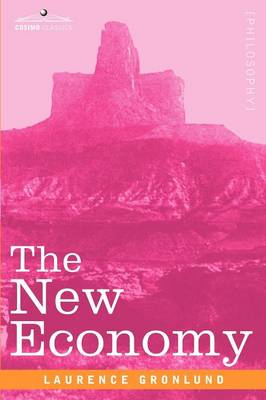 The New Economy (Paperback)