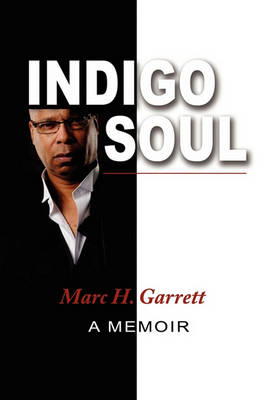 Indigo Soul (Paperback)