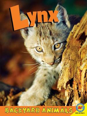 Lynx - Backyard Animals (Hardback)