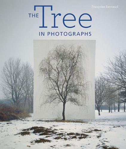 The Tree in Photographs (Hardback)