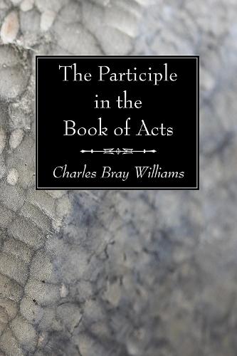The Participle in the Book of Acts (Paperback)