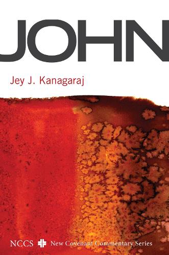 John (Paperback)