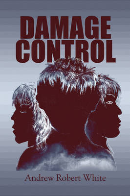 Damage Control (Paperback)