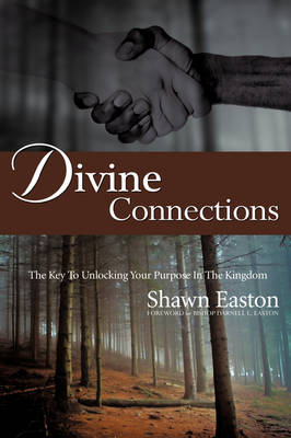 Divine Connections (Paperback)