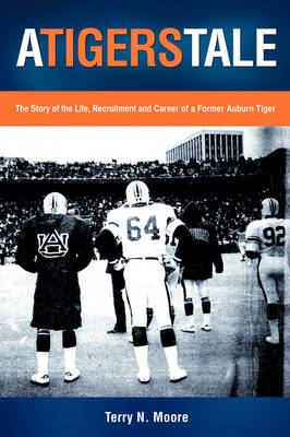 A Tigers Tale (Paperback)