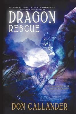 Dragon Rescue (Paperback)