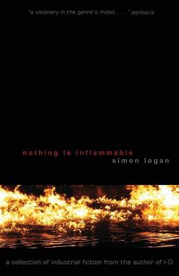 Nothing Is Inflammable (Paperback)
