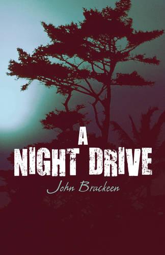 A Night Drive (Paperback)