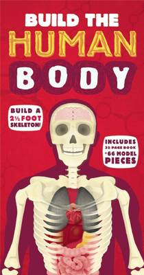 Build the Human Body - Build the Skeleton