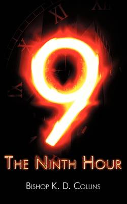 Ninth Hour (Paperback)
