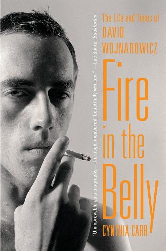 Fire in the Belly: The Life and Times of David Wojnarowicz (Paperback)
