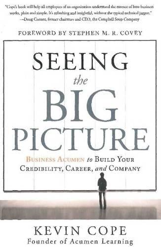Seeing the Big Picture (Hardback)