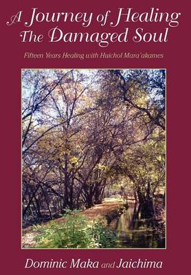 A Journey of Healing the Damaged Soul: 15 Years Healing with Huichol Mara'akames (Hardback)
