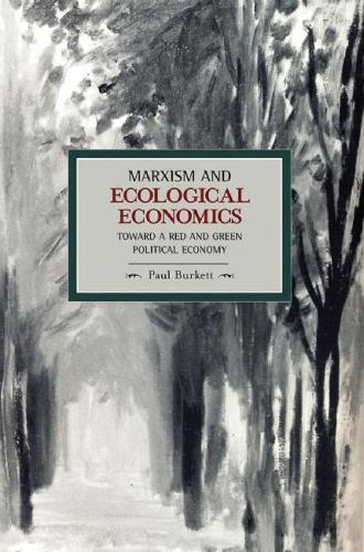 Marxism And Ecological Economics: Toward A Red And Green Poltical Economy: Historical Materialism, Volume 11 - Historical Materialism (Paperback)