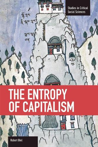 The Entropy Of Capitalism: Studies in Critical Social Sciences, Volume 39 - Studies in Critical Social Sciences (Paperback)